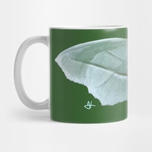 Pale Beauty Moth Mug